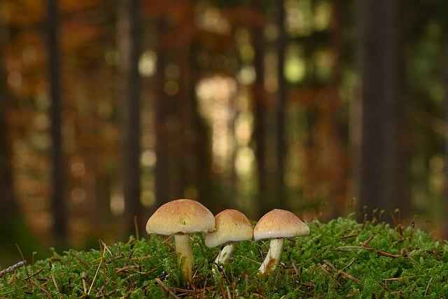 Jak usunąć plamy z opon z powłoki – skuteczne metody i bezpieczeństwo