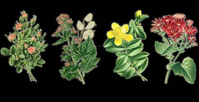 Stała stopa kredytu hipotecznego – lista banków i aktualne warunki